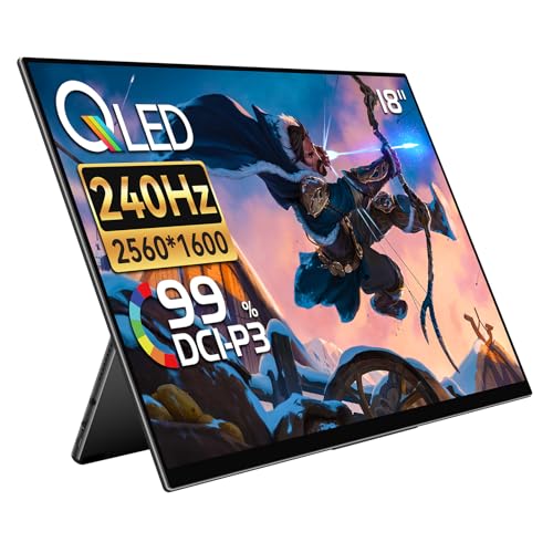 EWEI 18インチ モバイルモニター 本体RQHG-180PW 18インチ タッチペン対応 2560*1600 240Hz RQHG-180PW